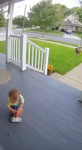 viral sora ai videos of ring doorbell camera #ai  #soraai  #usa 