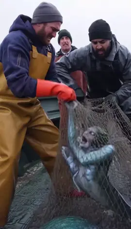 what is this!? #scary #mermaid #fishing 