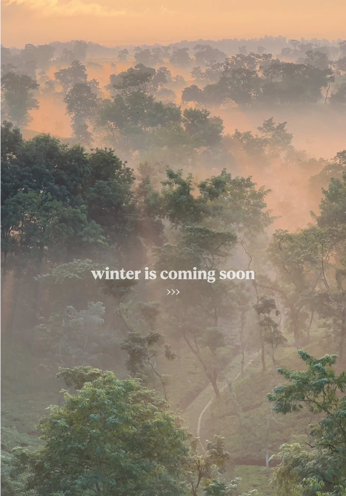 winter is coming soon 💛