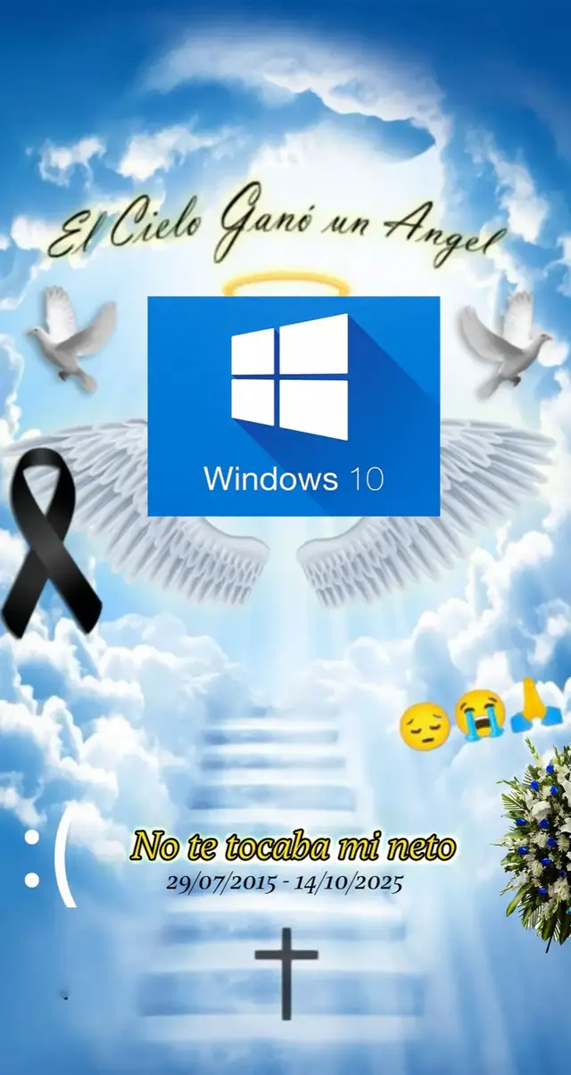 😔 Hoy 14 de octubre Windows 10 dejará de recibir soporte y actualizaciones para que todos se vallan al no tan querido windows 11. #windows10 #microsoft #windowsupdate #pcgamer #pcgamingsetup 