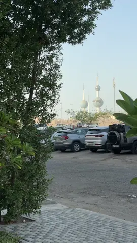 كافيه فورست -بنيد القار  #fypシ #الشعب_الصيني_ماله_حل😂😂 #اكسبلور #مطاعم_الكويت #كافيهات_الكويت 