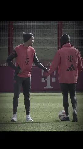 They are back 🥺#phonziala #musiala#alphonsodavies#friendship #football 