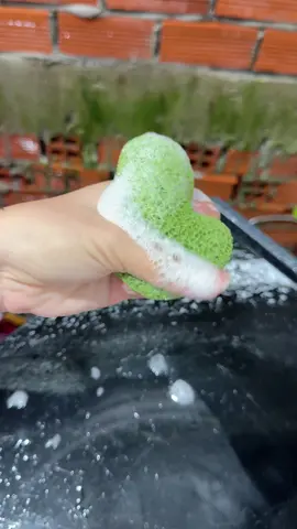 9 cành một miếng mà ta nói rửa mặt sạch dã man luôn á còn êm hơn dùng máy🌸🌸🌸 #bongmutruamat #miengruamat 