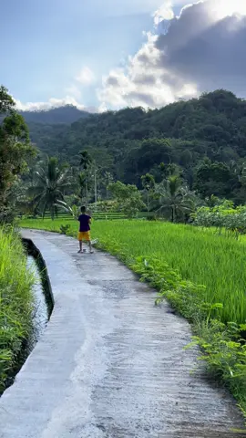 Langit jadi kanvas, layangan jadi cerita. Masa kecil yang tak terlupa di tengah hamparan hijau🍃🪁🌾#suasanapedesaan #kampunghalaman #pedesaan #storysunda #fyp 