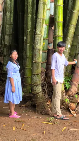 ဝါးပင်တွေကို သတိရလို့ POL သွားရအုံးမယ် 😂🤭#trkhaingzkh #pyinoolwin #trip #family #sisters 