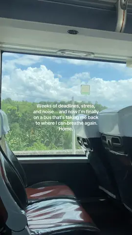 This is what coming home feels like. 