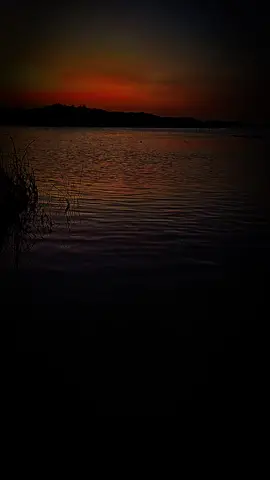 #تصويري📷 