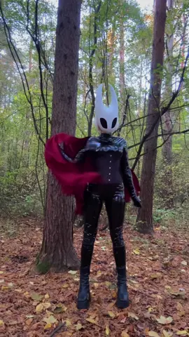 Are you sure you should go to the forest to pick mushrooms? 🍄 #silksong #hornet #hollowknight #hollowknightsilksong 