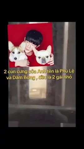 Người ko quen biết nhưng nước mắt tui lại chảy ko ngừng thế này 😭😭😭#justiceforyumenglong💔😭🥀🥀🥀🥀🤍 #yumenglong于朦胧 #justiceforyumenglong🕊 #yumenglong #adidaphat 