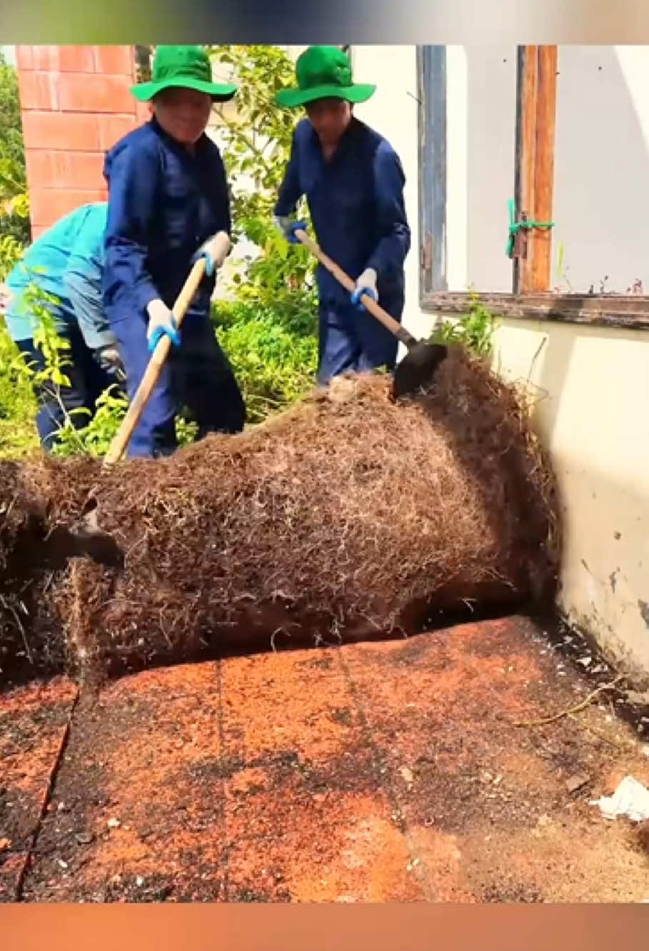 #mowing #cleanup #edging #cleanupcrew #asmr 