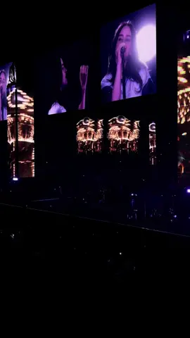 Halley’s Comet Miami N3 🥺 take me back!!! #hmhastour #billieeilish 