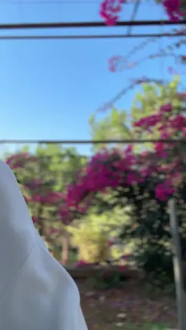 #beauty #fyppppppppppppppppppppppp #lebanon🇱🇧 #LearnOnTikTok #LearnOnTikTok #beautymodel #