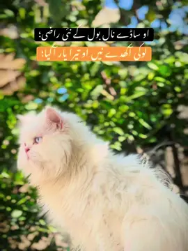 Mention Your DosT☠️😔 #dontunderreview #foryoupage #viralvideo #trending #poetry 