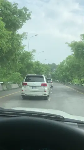 #🤍  #creatorsearchinsights 