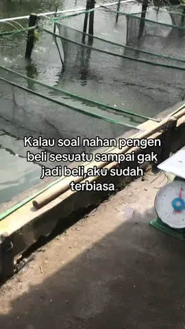 #fyppppppppppppppppppppppp 