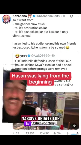 Hasan’s friends just exposed him 😳 QTCinderella says Kaya’s collar did have a shock function before the prongs were removed — even though Hasan claimed it only vibrates 👀 #hasanabi #qtcinderella #streamer #viral #greenscreen 