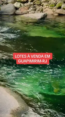 🏞️ Lotes exclusivos à venda! Apenas 11 unidades disponíveis 😱 💧 Possibilidade de acesso ao Rio Soberbo — imagine viver com essa vista! 🌄 90% dos lotes têm vista privilegiada para a Serra dos Órgãos 😍 📐 Lotes grandes, ideais para construir o seu refúgio dos sonhos 🏡 💰 A partir de R$ 150 mil! 🌿 Natureza, tranquilidade e exclusividade em um só lugar. ✨ Mas corre, porque são pouquíssimos lotes e estão incríveis! #LotesAVenda #SerraDosÓrgãos #RioSoberbo #TerrenoDosSonhos    #CapCut 