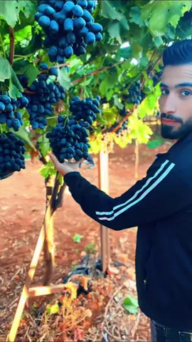 ♥🍇#😎