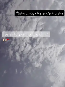 brother’s❤️‍🔥🫶🏻#daudgujratala #foryouofficialpage #100kview #treaindig #VelocityFunk 