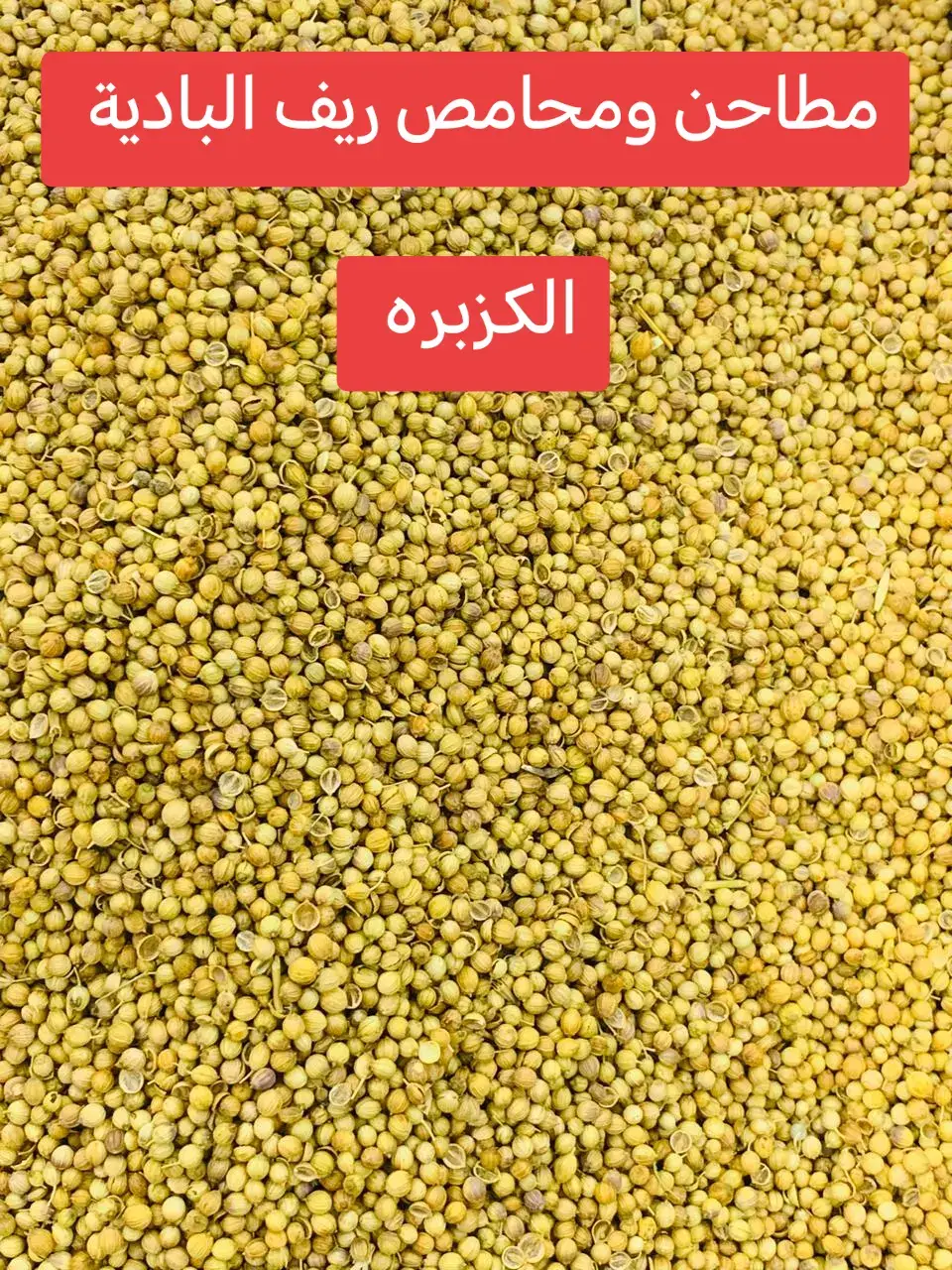 تتمتع الكزبرة الناشفة بفوائد صحية عديدة، أبرزها تحسين الهضم، وتقليل مستويات السكر والكوليسترول في الدم، وتعزيز صحة القلب والأوعية الدموية، بالإضافة إلى دعم وظائف الدماغ ومكافحة الالتهابات. كما أنها غنية بمضادات الأكسدة وتحتوي على فيتامينات ومعادن مفيدة. # الخميس #عتود 