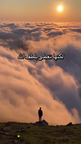 ##نصائح_مفيدة 