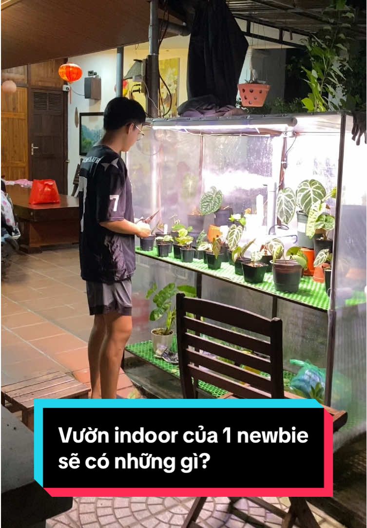 Ghé thăm vườn indoor của 1 người e #indoorplants #anthurium #tropical #kienglavietnam 