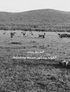 #fyp   للعقول الراقيه. 