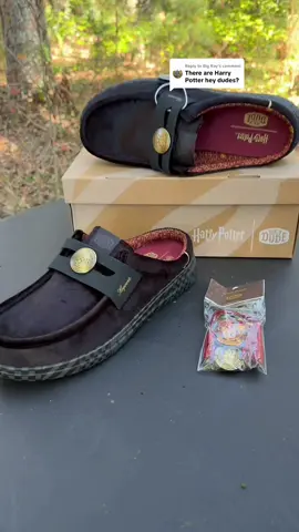 Replying to @Big Ray HEYDUDE x Harry Potter Wally Slip Loafer. It’s the perfect mix of cozy and wizardly style. You get a sleek black velvet loafer with the Hogwarts crest built right in. And the best part? You can pick your house pack — it comes FREE. Each pack has your tassel, crest, and coin so you can rep Gryffindor, Slytherin, Hufflepuff, or Ravenclaw your way. They’re super lightweight, crazy comfortable, and easy to slip on whether you’re headed to class, a Quidditch match, or just chilling in the common room. Oh, and quick sizing tip — if you’re shopping women’s sizes, go two sizes down. For example, women’s 9 equals men’s 7. So yeah, not great for invisibility, but perfect for everything else. Grab yours and step into your Hogwarts house in style. ⚡ @HeyDude @Harry Potter 