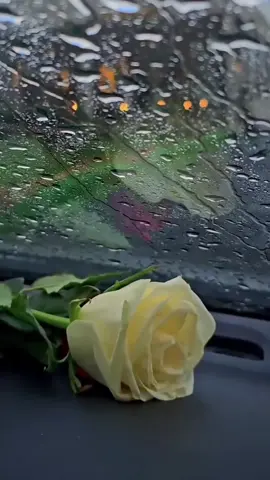 #اكسبلورexplore❥🕊🦋💚❤ 