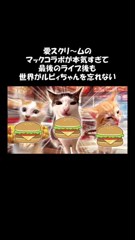 本気すぎた愛♡スクリ〜ムのマックコラボ #猫ミーム #猫マニ #猫 #猫のいる暮らし 