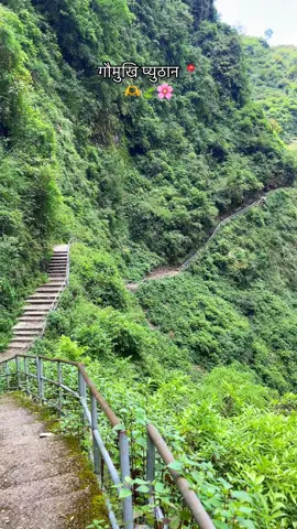 Gaumukhi waterfall 🤗,gaumukhi🍃🫶🌸(xn hai xn vdo ajoi baki xn jharko nw manw)#pyuthanimuser #gaumukhi_pyuthan🌹🙏 #fypシ゚viral #anuu😘 