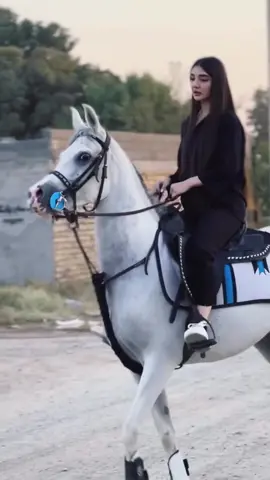#foryou #خيل_وخياله🐎 #fyp #foryoupage #like 