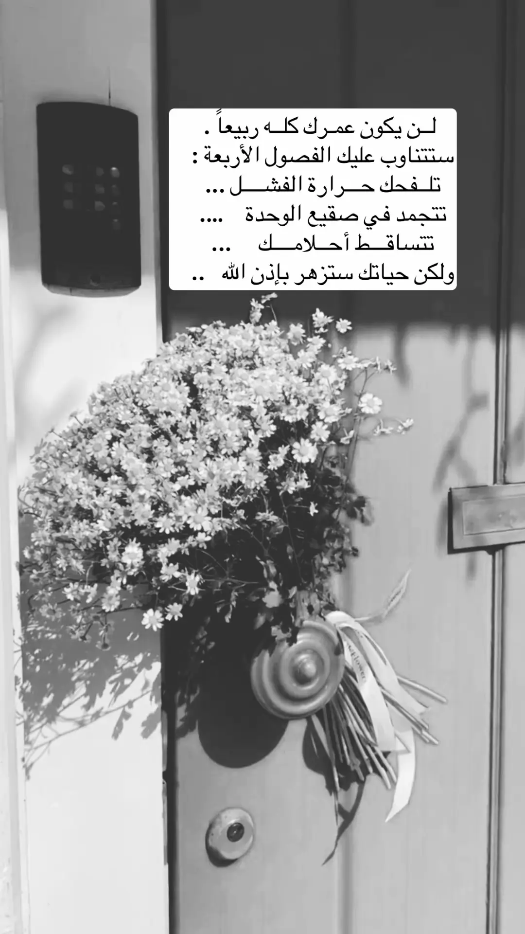 #رسائل #📨 