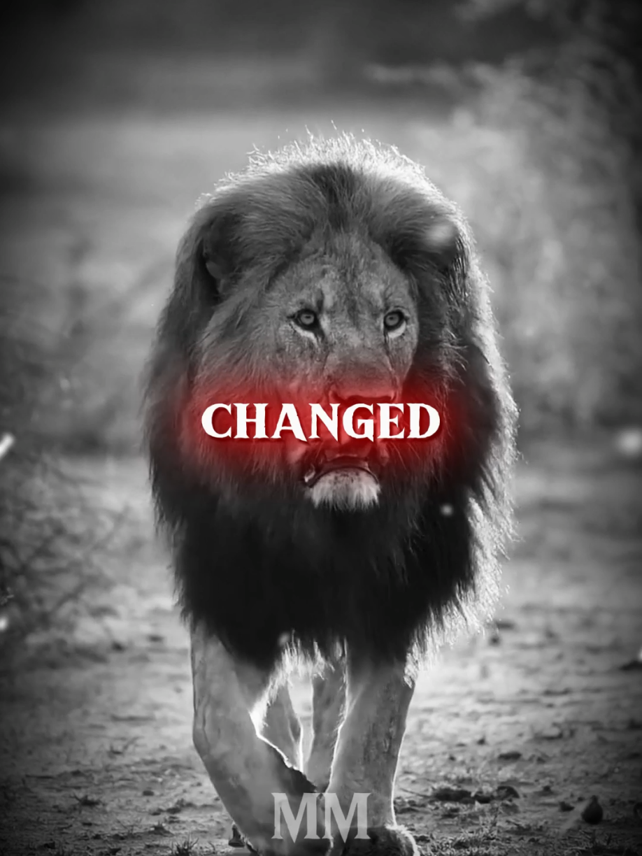 You Think I've changed... #motivationdaily #mindsetmatters #riseandgrind #stayfocused #nevergiveup