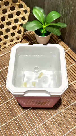 Trả lời @KIỀU TIÊN 87 mũ trôm hạt chia uống ngon, giải nhiệt nè #ancungtrucne #mutromhatchia #mutromhatchia94farm #mutrom #mutromsach  @Ăn Cùng Trúc Nè  @Ăn Cùng Trúc Nè  @Ăn Cùng Trúc Nè 