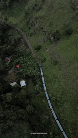 Ella Odyssey train passing through the iconic Demodara railway loop 🚂✨ . . . #odyssey #ellaodysseytrain #demodararailwayloop #srilanka #visitsrilanka 