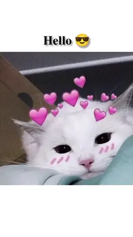 helo 🤝🏻🥲🫵🏻#myaccountunfreze🙏🥺 #myaccountunfreze🙏🥺viral #foryou_tiktok_viral_video_tiktok_foryoupage_100 #foryoupageofficiall #foryou100kviews 