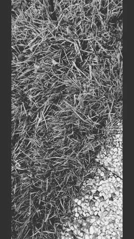 #halloween #decoration #halloweenmood #fyp #pourtoi 