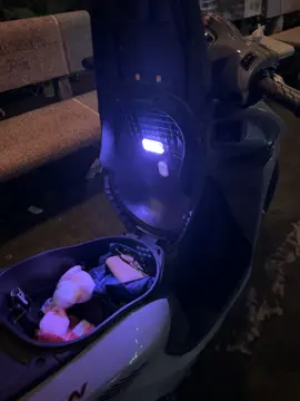 Đèn led gắn cốp tiện ghê 🤫 #đènled #denledcamung #denledtrangtrixe #trangtrixe #xuhuong 