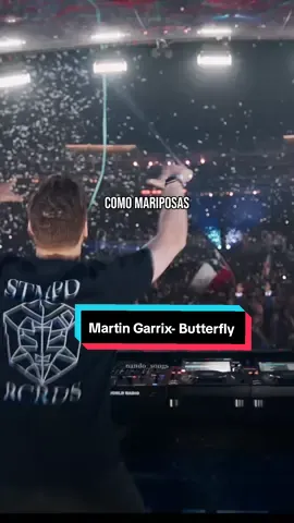 No dejaré de creer, que podemos empezar de nuevo....✨🫠❤️‍🔥🍁 #martingarrix #butterfly #tomorrowland #newsongs #danceelectronic #letrasdecanciones #traducciondecanciones #paradedicar 
