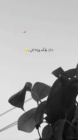 اُس نے مانگی ہی نہیں ساتھ دعائیں ورنہ🥺 بات بِگڑی ہوئی 