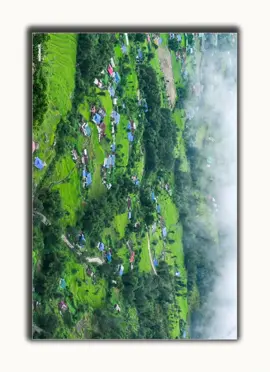 😍😍🥰💚☘️#creatorsearchinsights #naturelover #sekaha #bipinphotographykhandbari📸 #Khandbari 