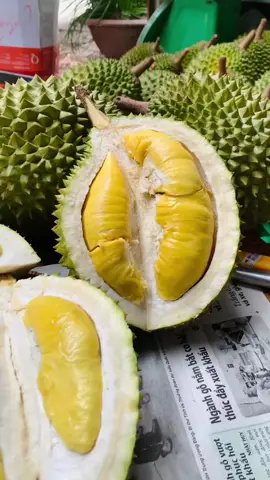 Musaking miền Tây siêu ngon😍