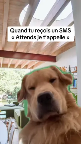 Hum, non.  #fyp #pourtoi #free #viral 