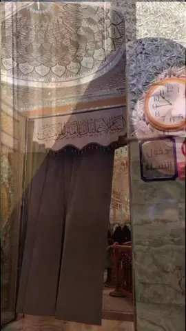 اريد اكصد علي عناي واسولف همي بالحضره .  .  .  .  .  #صعدو_الفيديو #اعادة_النشر🔃 #مالي_خلق_احط_هاشتاقات🦦 #الشعب_الصيني_ماله_حل😂😂 