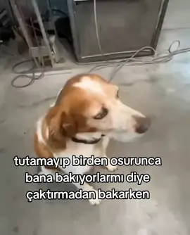 fark ettiniz mi #osuruk #arkadaş #kanka #ortam #duybeni 
