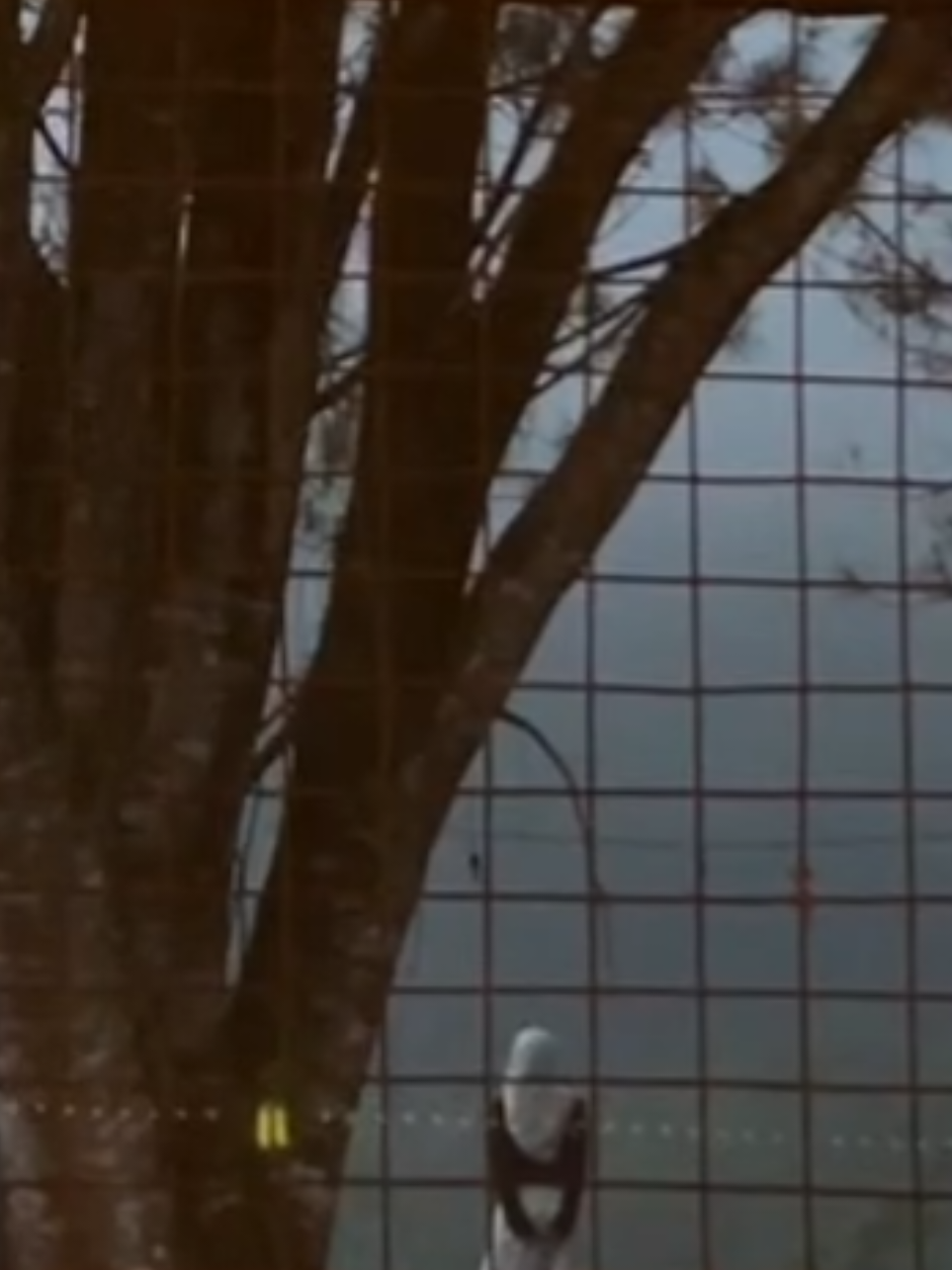 anak terakhir+harapan terakhir #bungsu #anakterakhir #anakbungsuperempuan 