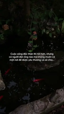 …#tamtrang #story 
