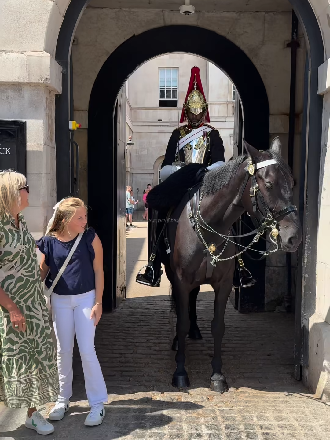 Chill & Chew: The Regal Horse with a Playful Spirit! 🐴✨#reelsfacebook #fbreelsvideo #horseguardsparade #london #kingsguard #peterellis #buckinghampalace #Happiness #London #Smile #Tourism #HorseGuard #travelstories #UnforgettableExperiences #ViralReels #HorseGuards #horse #travel #viralreels #Amor
