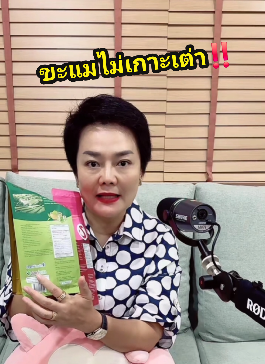 ขะแมไม่เกาะเต่า‼️#พี่ไก่เลี้ยงหมา17ตัว #รัญจวน 